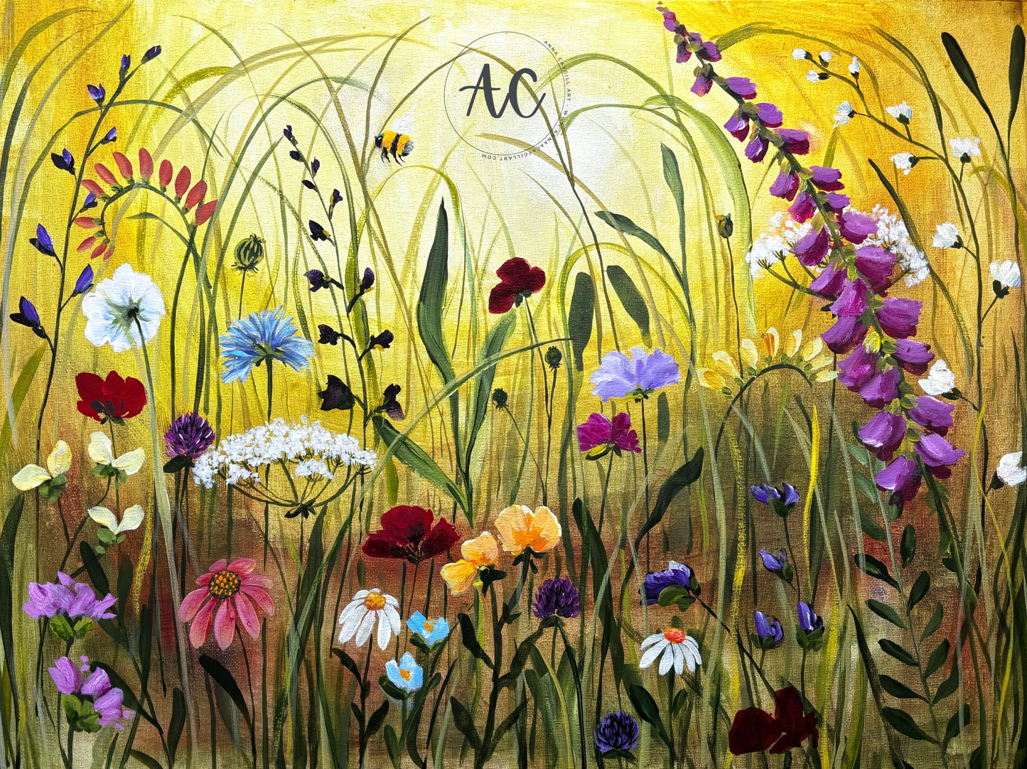 September summer meadow