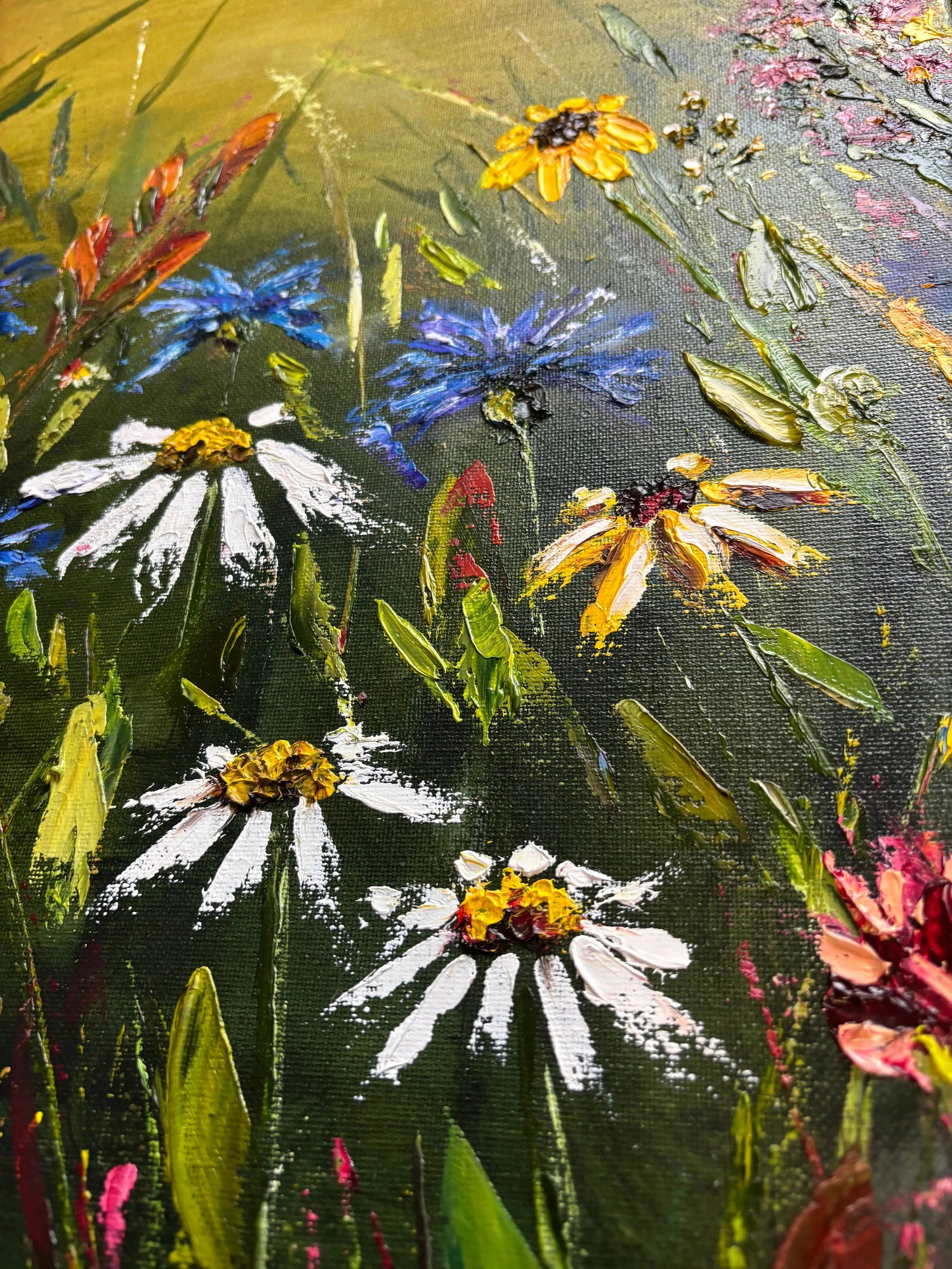 Meadow light Anna Caygill Art